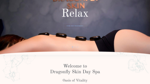 Dragonfly Skin Day Spa - Project