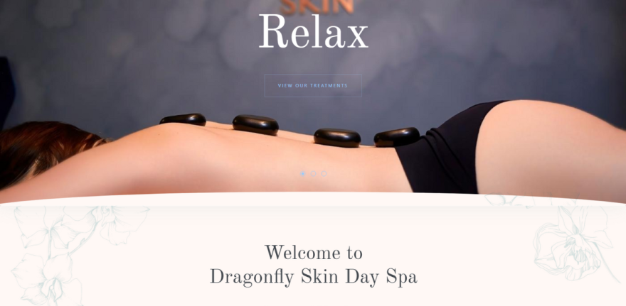 Dragonfly Skin Day Spa - Project